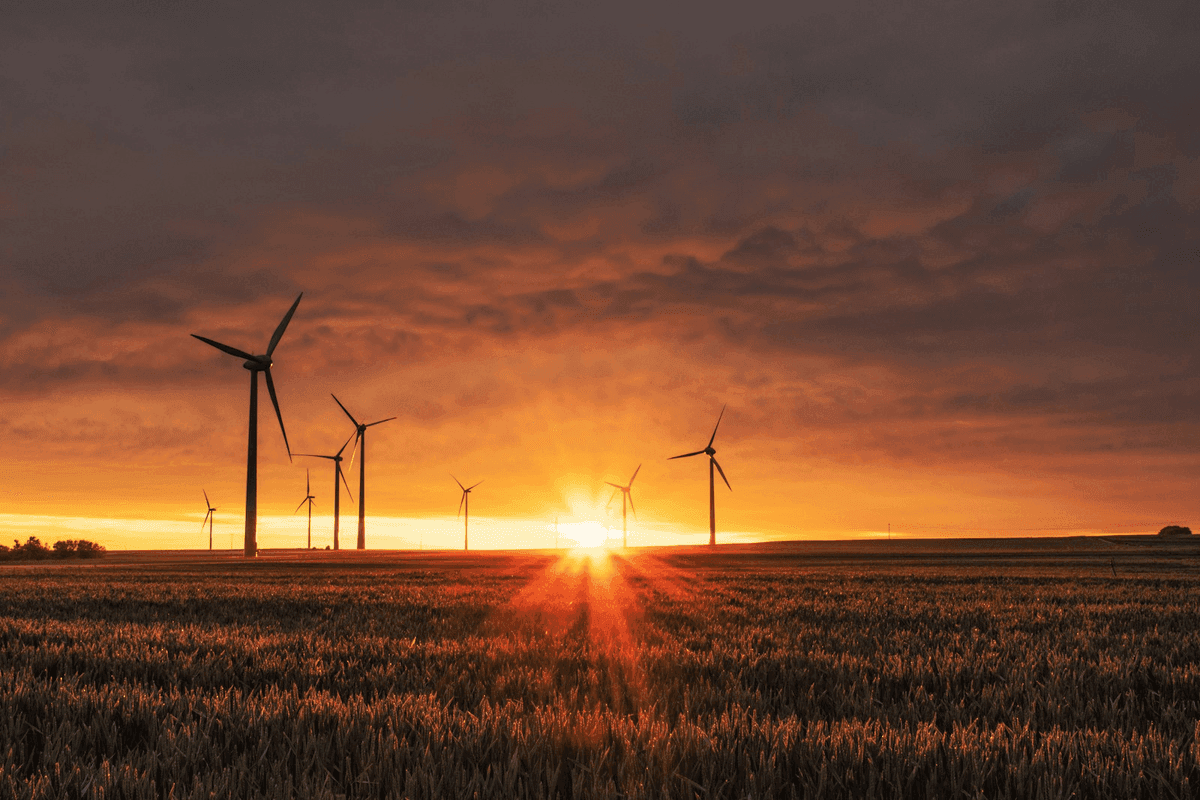 Sustainable Innovation